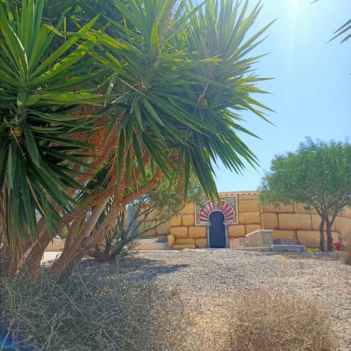 Arreglo del xerojardín y el entorno del Lugar&nbsp;Alto